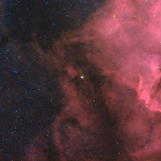 Xi Cygni and North American Nebula by Jeff Johnson