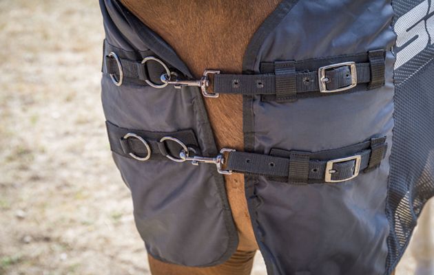 LeMieux Carbon Cooler rug review