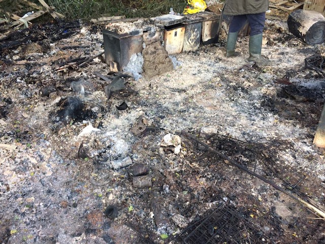 Fire1-copy.jpg