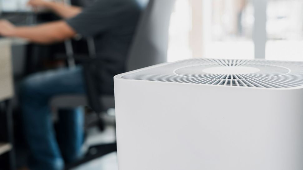 Best air purifiers for allergies 2022 Live Science