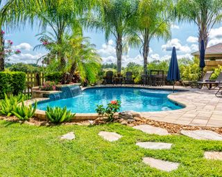 swimming pool with organic shape surrounded by palms