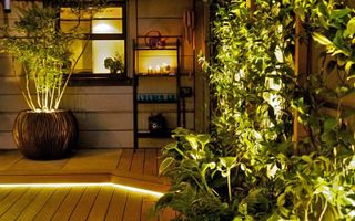 A roof terrace with decked floor decor, vertical planting and LED strip lighting decor