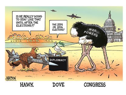 Political cartoon ISIS congress war