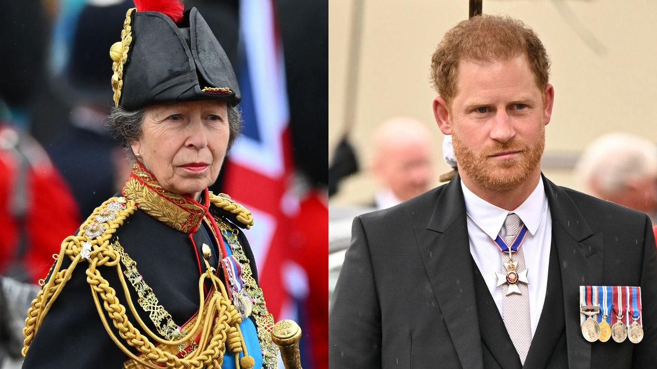 Princess Anne and Prince Harry&#039;s exchange at the coronation explained. Both are seen here on coronation day.