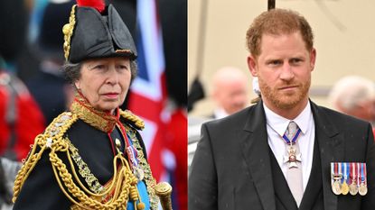 Princess Anne and Prince Harry's exchange at the coronation explained. Both are seen here on coronation day.