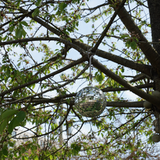 Disco ball hanging from tree.