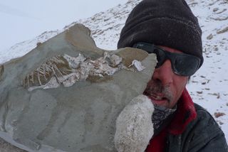 Fossil found in Antarctica