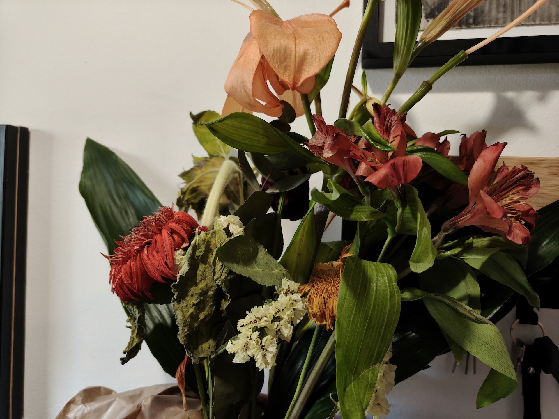 realme GT8 Dream Edition