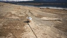 Parched ground next to the Colorado river.