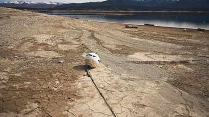 Parched ground next to the Colorado river.