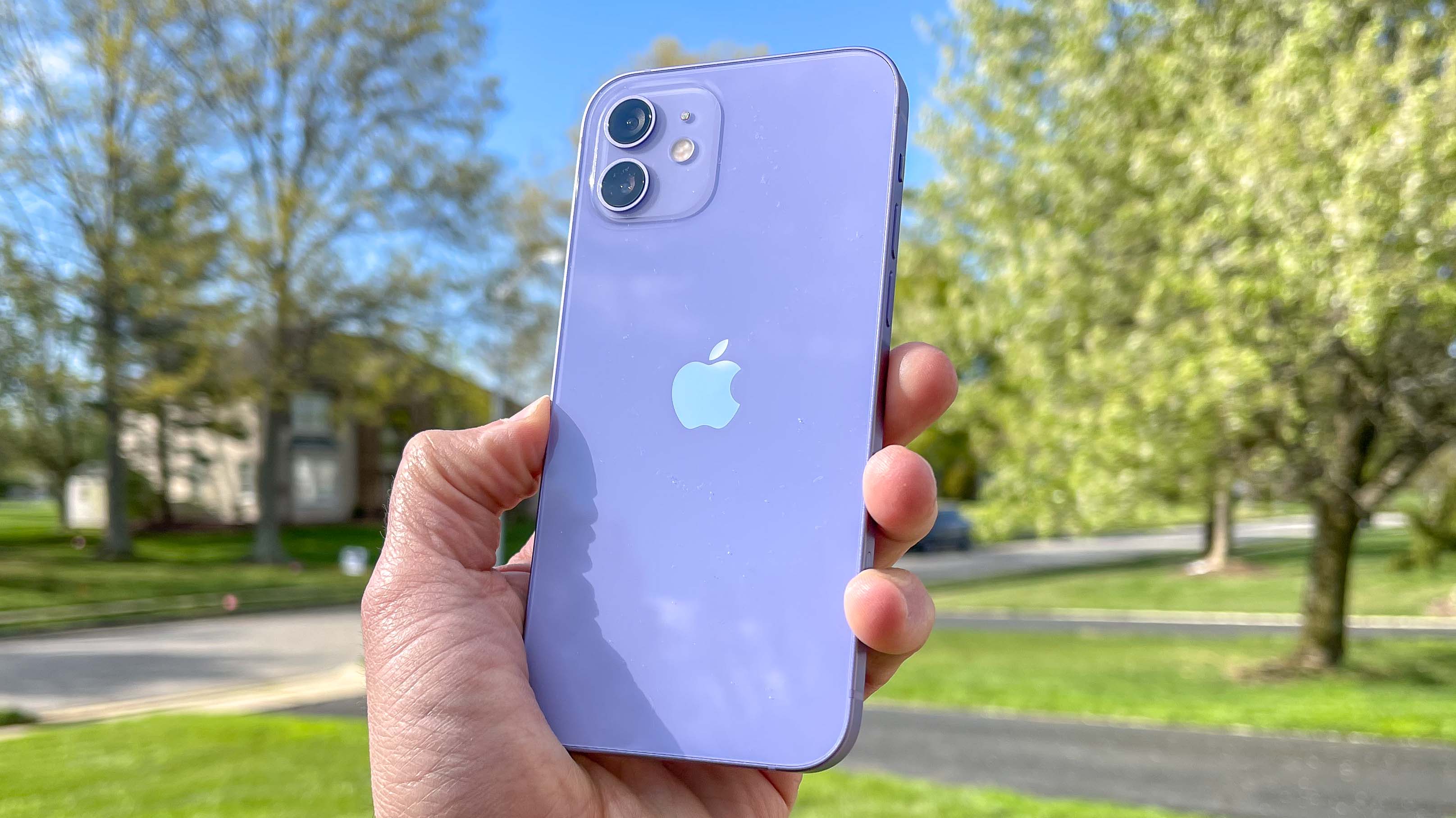 purple iphone 12 with clear case