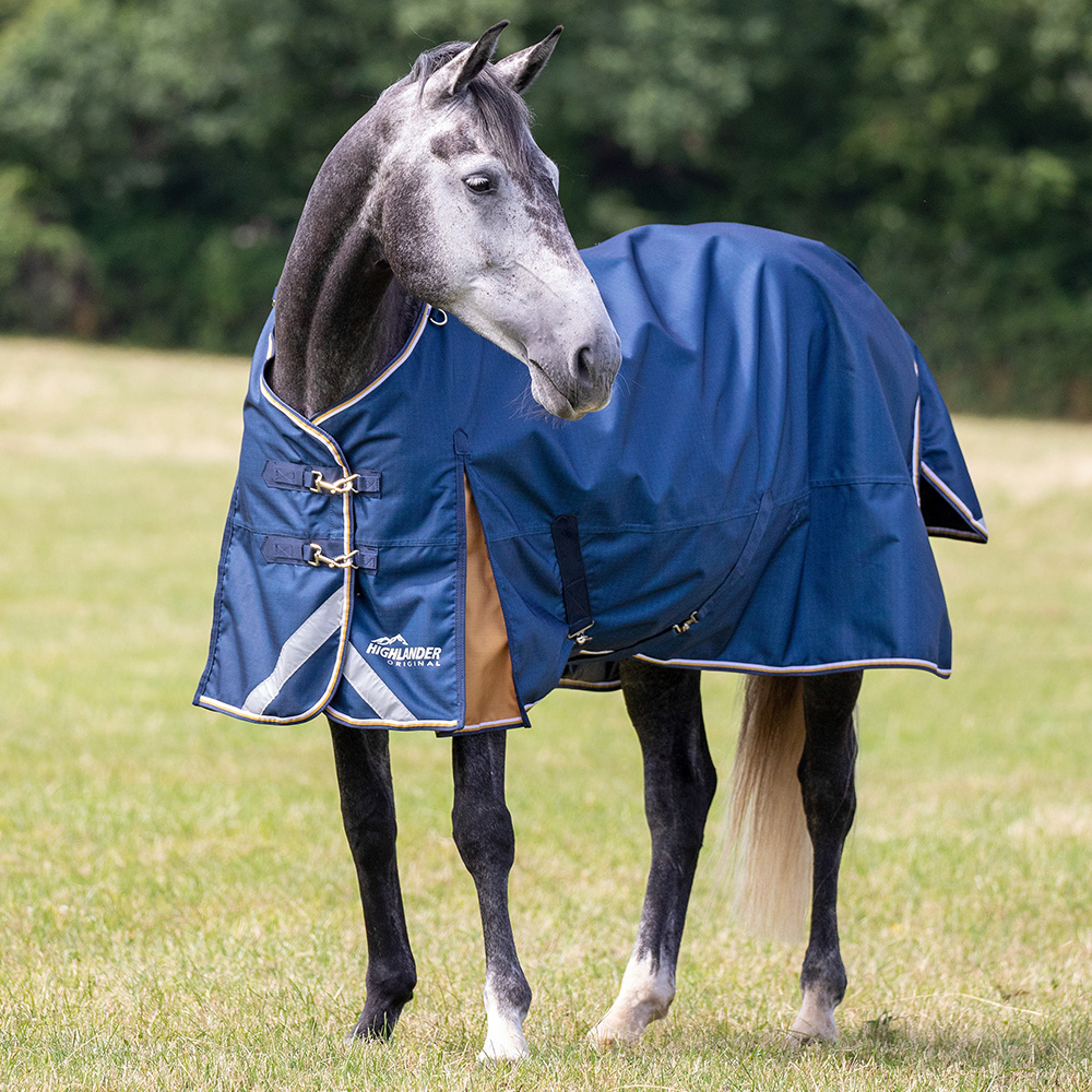 Horse in field wearing a navy Shires Highlander Plus Lite Turnout Rug