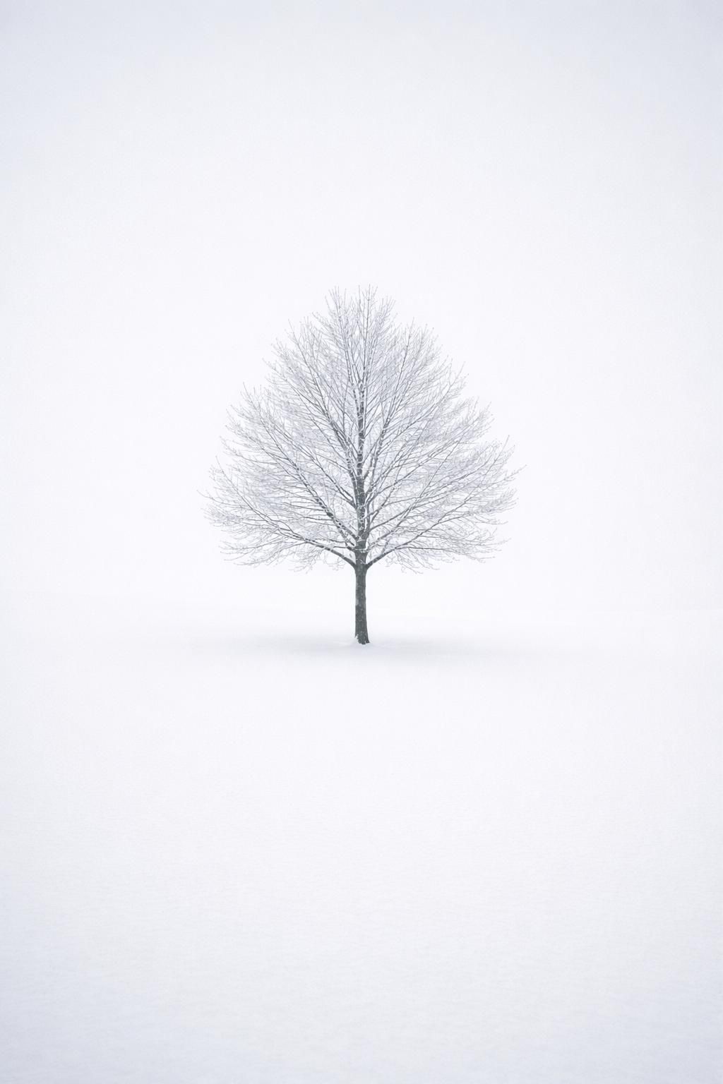 GuruShots - February 2026