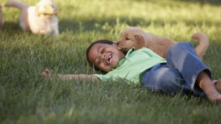 boy rolling on ground with puppy