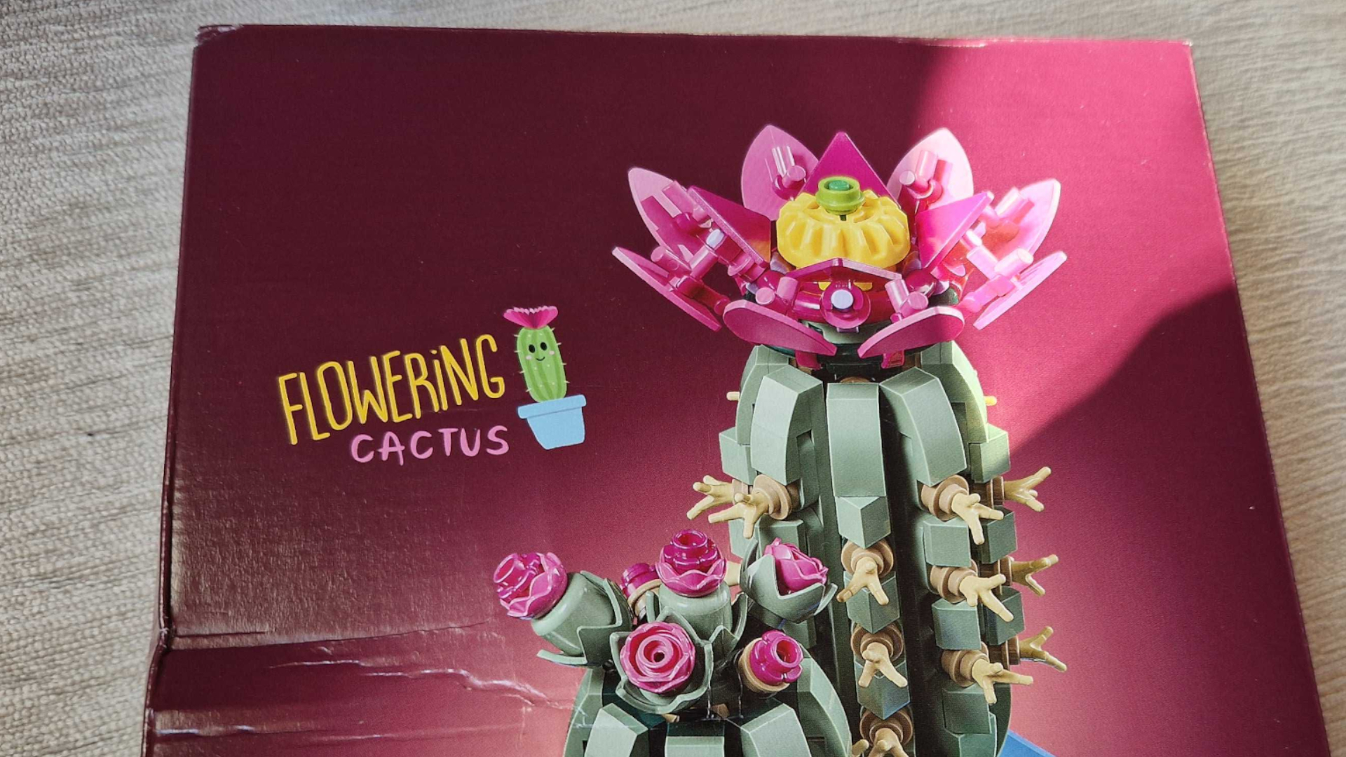 Lego Flowering Cactus box on a grey background