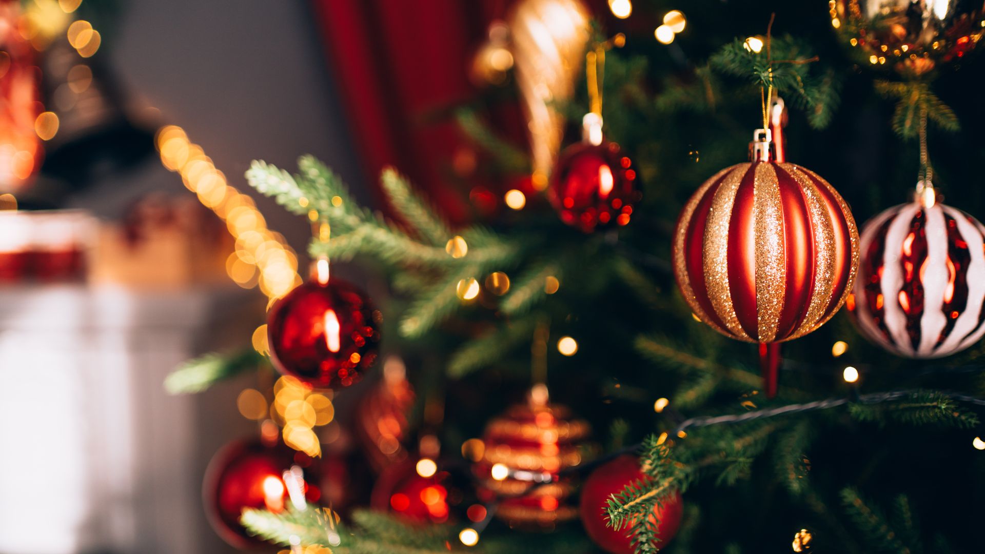 picture of decorated christmas tree