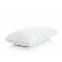 Wayfair Sleep Memory Foam Pillow: was $99 now $26 @ Wayfair