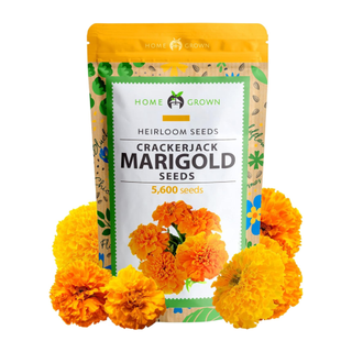 Packet of marigold seeds