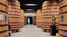 00000a1b3-Marques_de_Carrion_winery.jpg