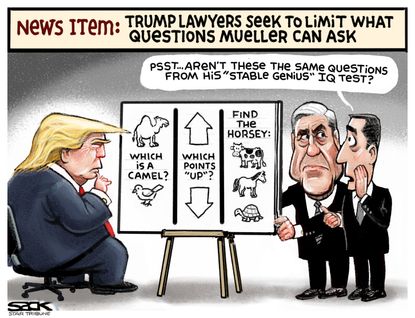 Political cartoon U.S. Trump Mueller Russia investigation collusion stable genius interview