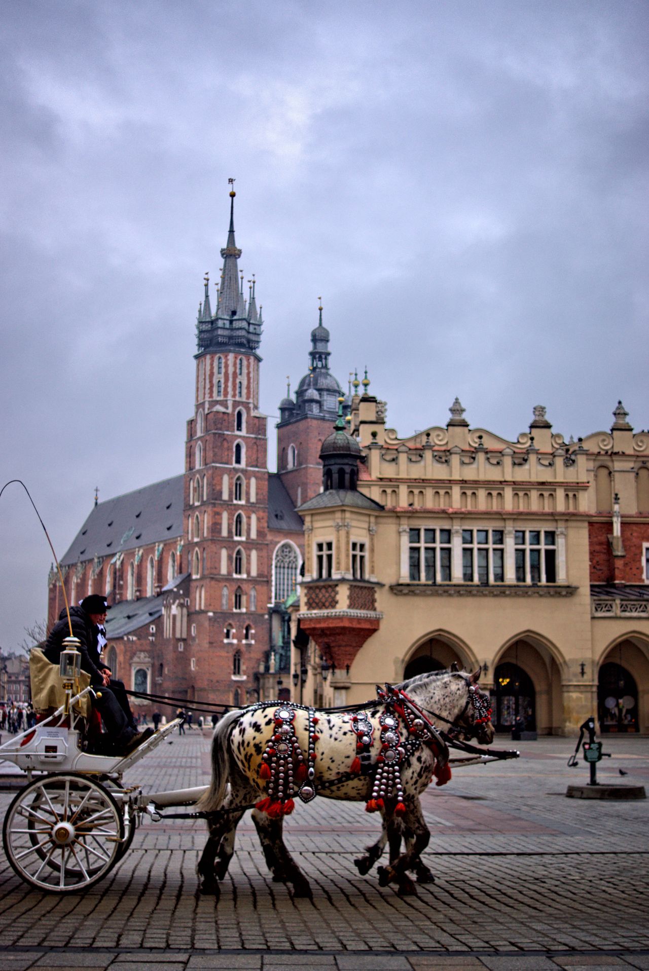 Łukasz Papuga - Poland