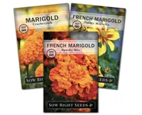 Sow Right Seeds  Marigold Collection (3-Pack)