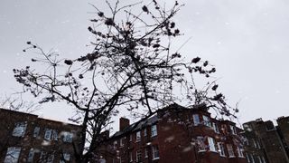 Xiaomi 12 camera sample