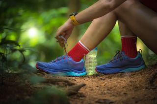 Person fastening running shoes in forest