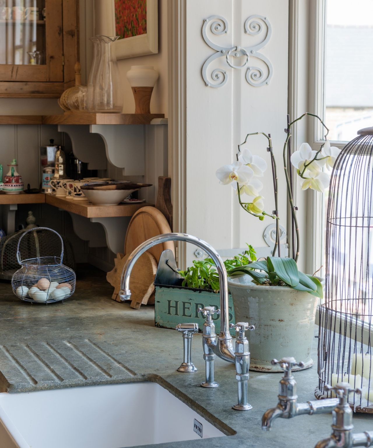 Why are my orchid leaves drooping? 6 reasons to look out for Gardeningetc