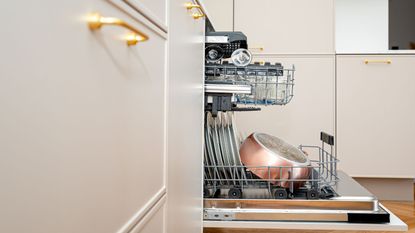 An open dishwasher in a white kitchen