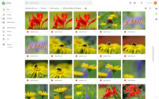 A screenshot of Google Drive, one of the best cloud storage for photographers