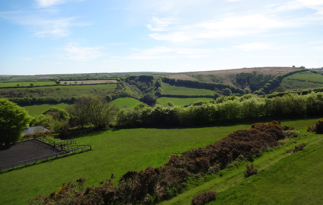 Fields and school