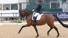 National Dressage Championships advanced medium gold