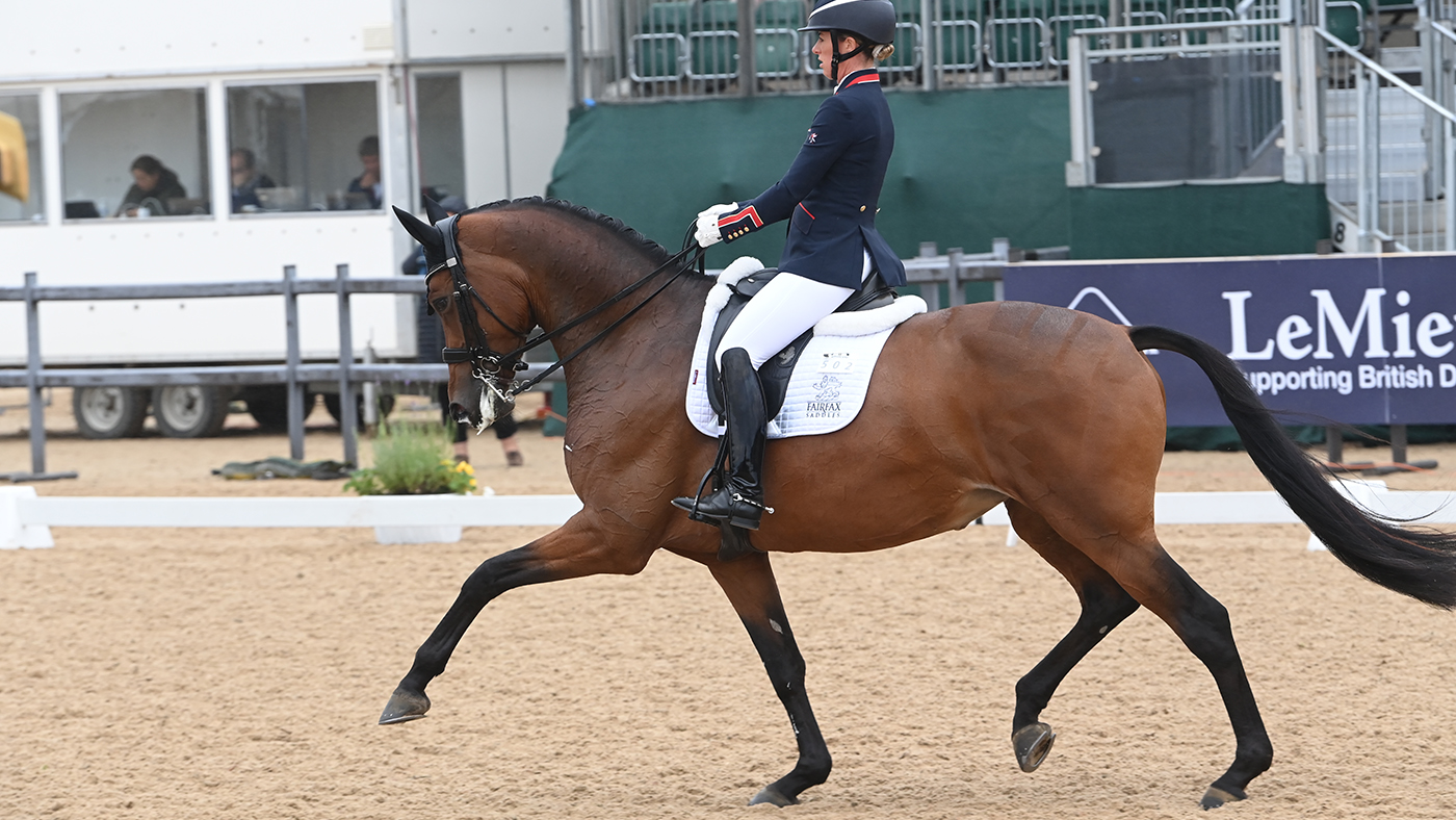 National Dressage Championships advanced medium gold