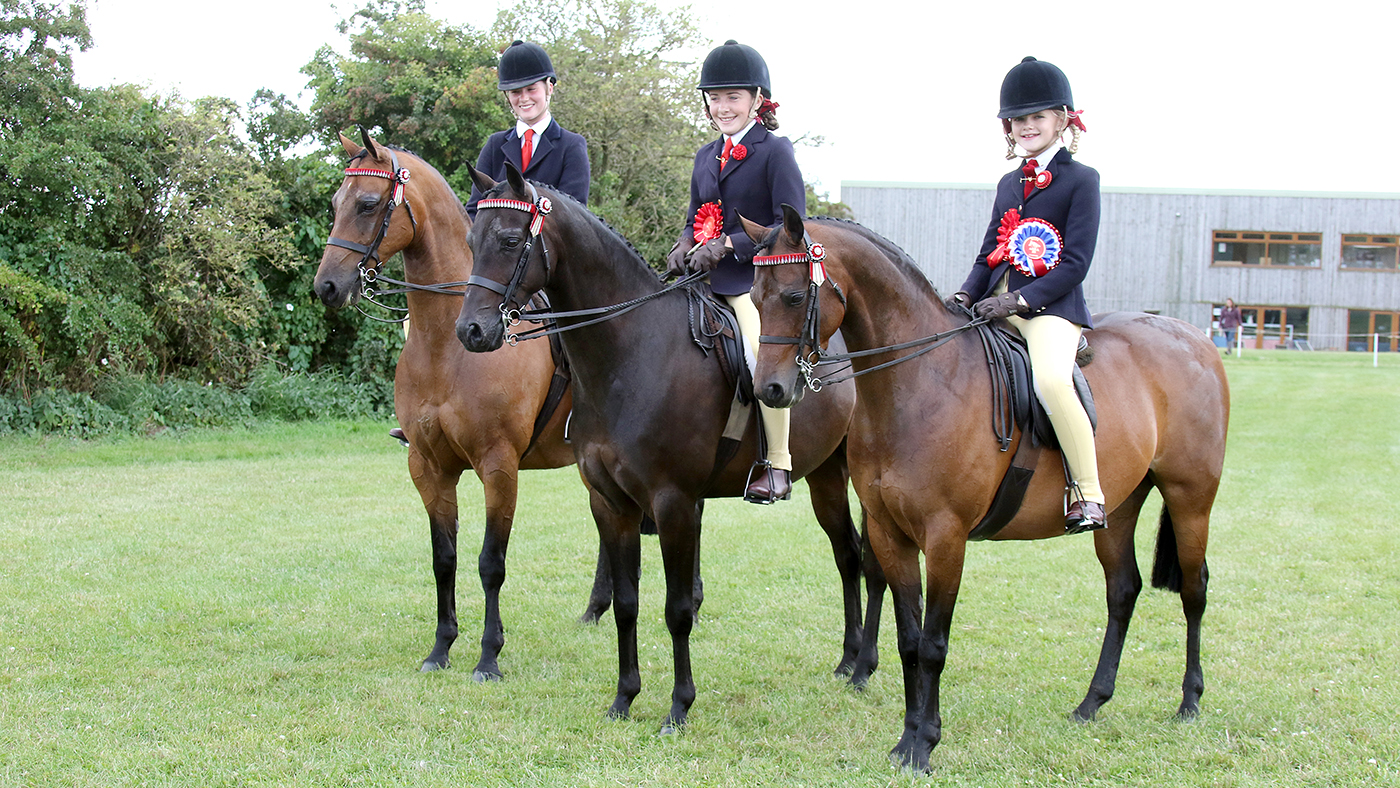 Team-Young-Show-Ponies.jpg