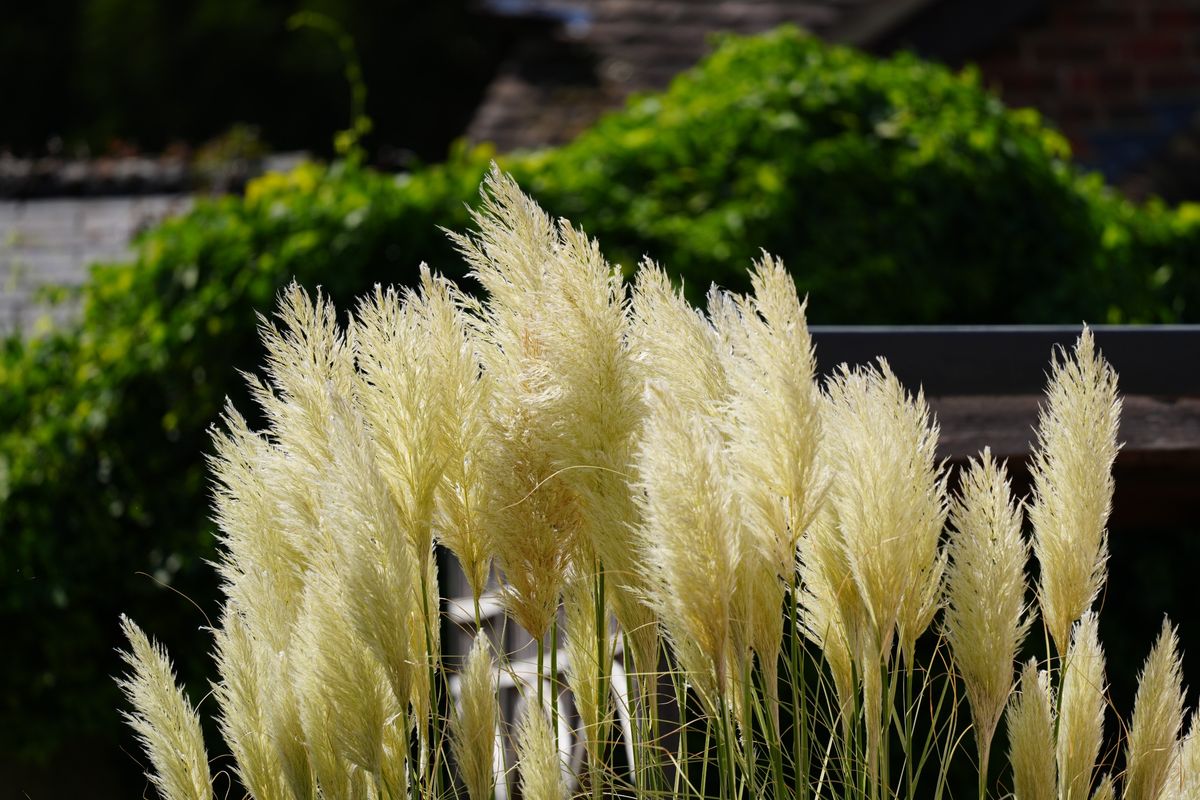 Sony FE 600mm f/6.3 GM OSS sample image
