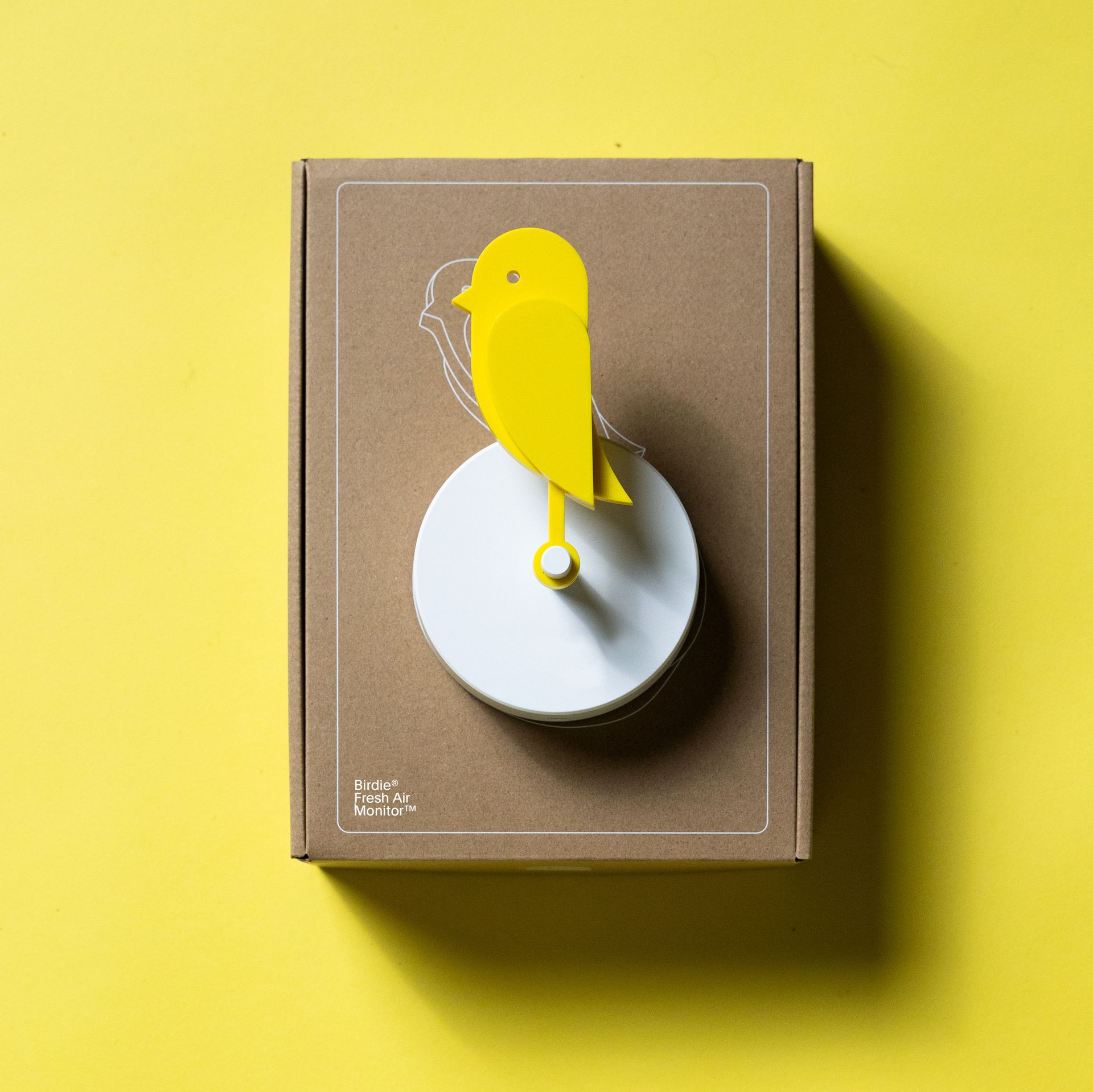 Birdie Air Quality Monitor