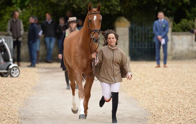 Laura Collett with Grand Manoeuvre during the first Horse Inspection at The Mitsubishi Motors Badminton Horse Trials at Badminton House in the Village of Badminton in South Gloucestershire in the UK on the 3rd May 2017