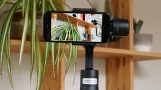 A smartphone gimbal in front of a houseplant