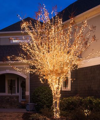 Mini LED copper lights on a front garden tree