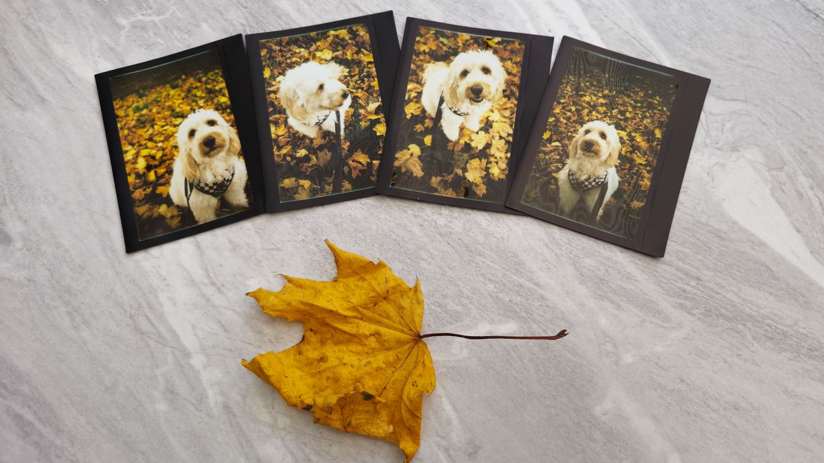 Lomo&rsquo;Instant Wide Glass sample images