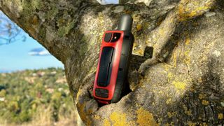 The Garmin GPSMAP 67i perched on top of a tree