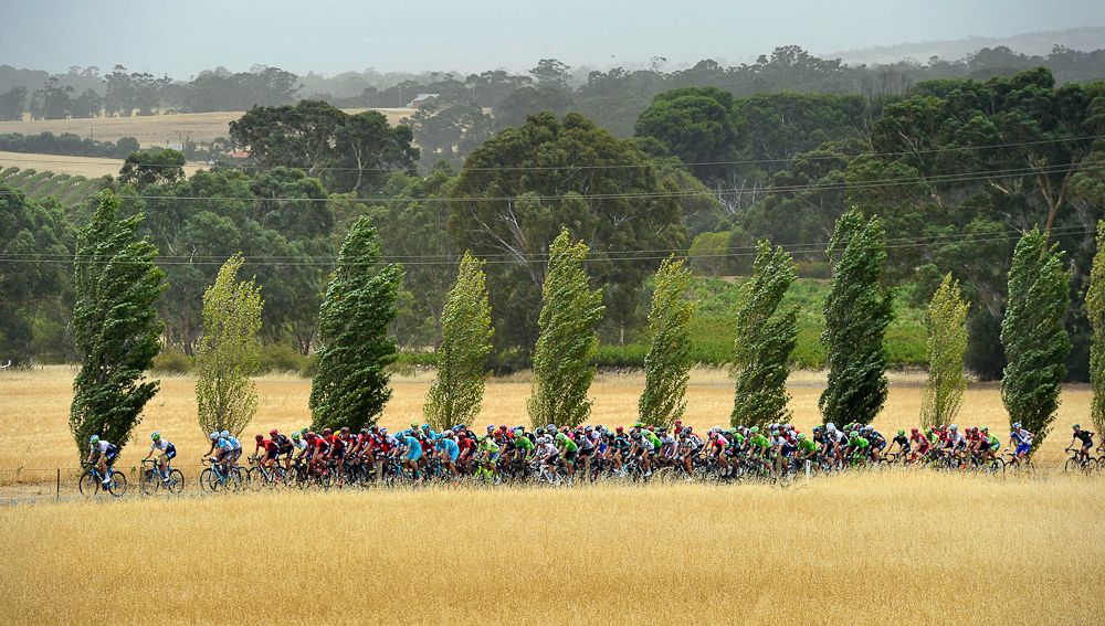 The peleton travels in the Barossa Valley during the Tour Down Under stage 1 from Prospect to Lyndoch in Adelaide