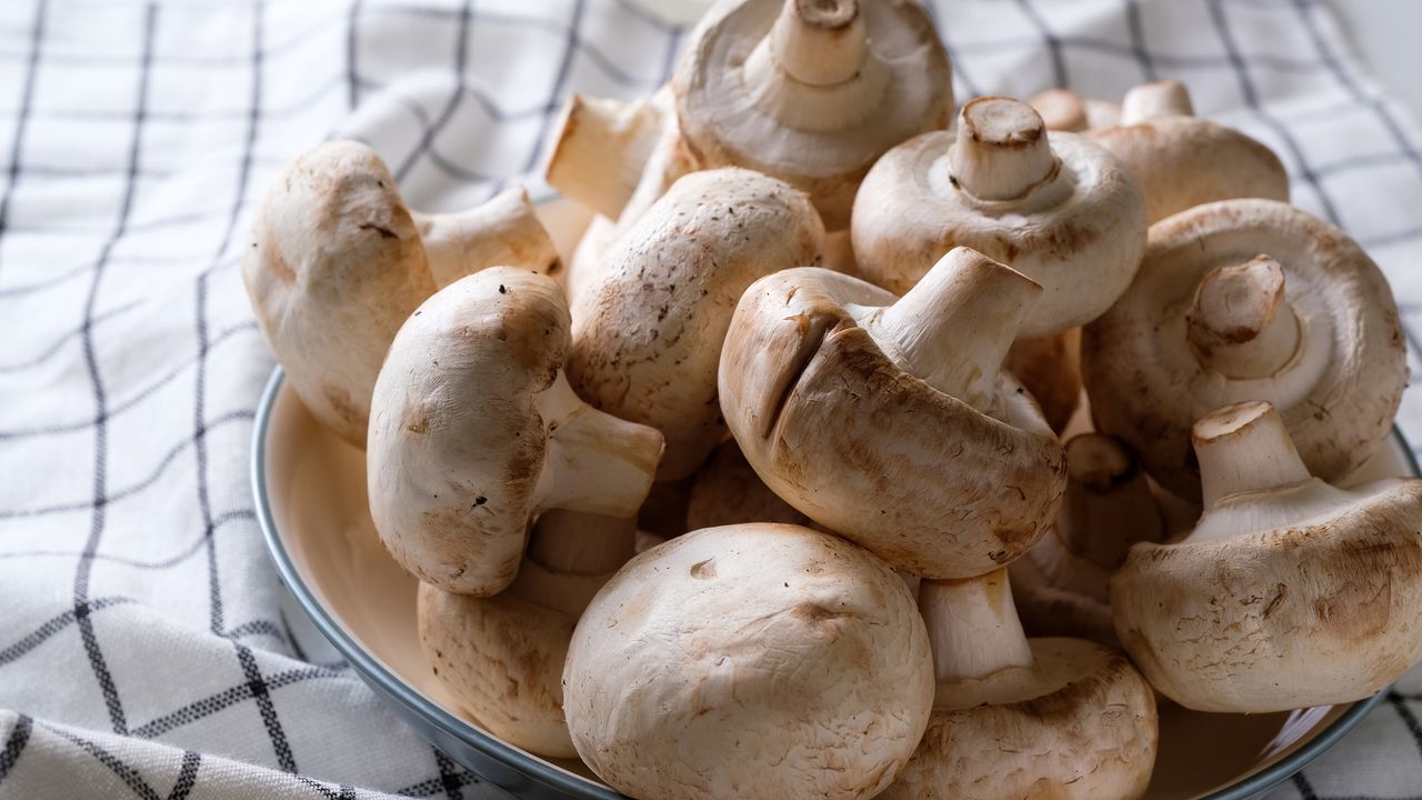 Bowl of mushrooms on tea towel