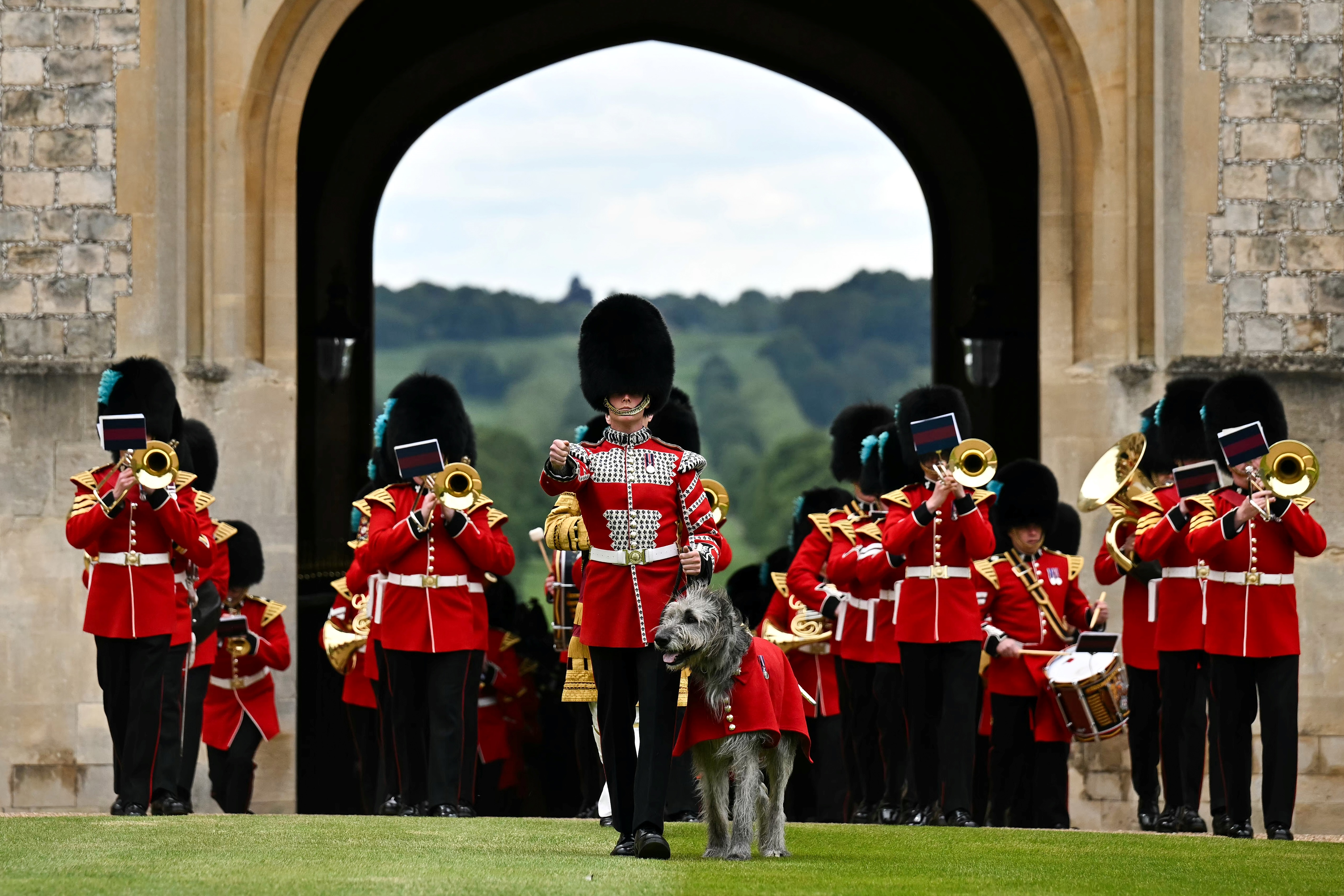 An Irish Wolfhound in a red ceremonial coat stands proudly beside a Guardsman as the Irish Guards Regimental Band marches behind them through a stone archway at Windsor Castle. The Guardsmen wear traditional scarlet tunics and bearskin hats, with brass instruments raised in formation.