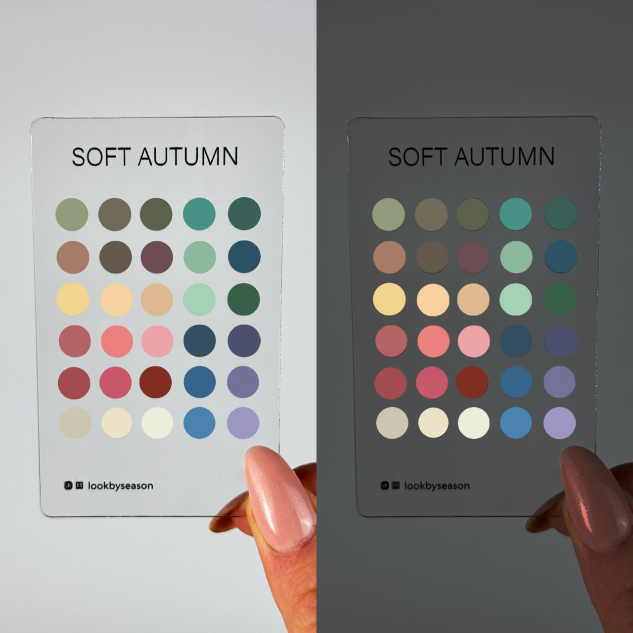 Color Season Swatch Card
