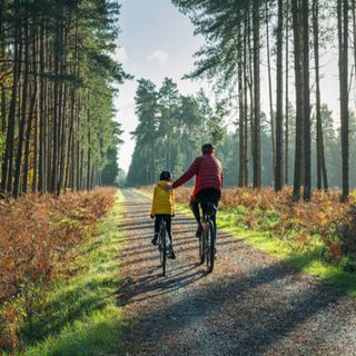A father and son cycling along a gravel path in a woodland