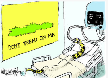 Political Cartoon U.S. dont tread on me Gadsden snake anti lockdown protest