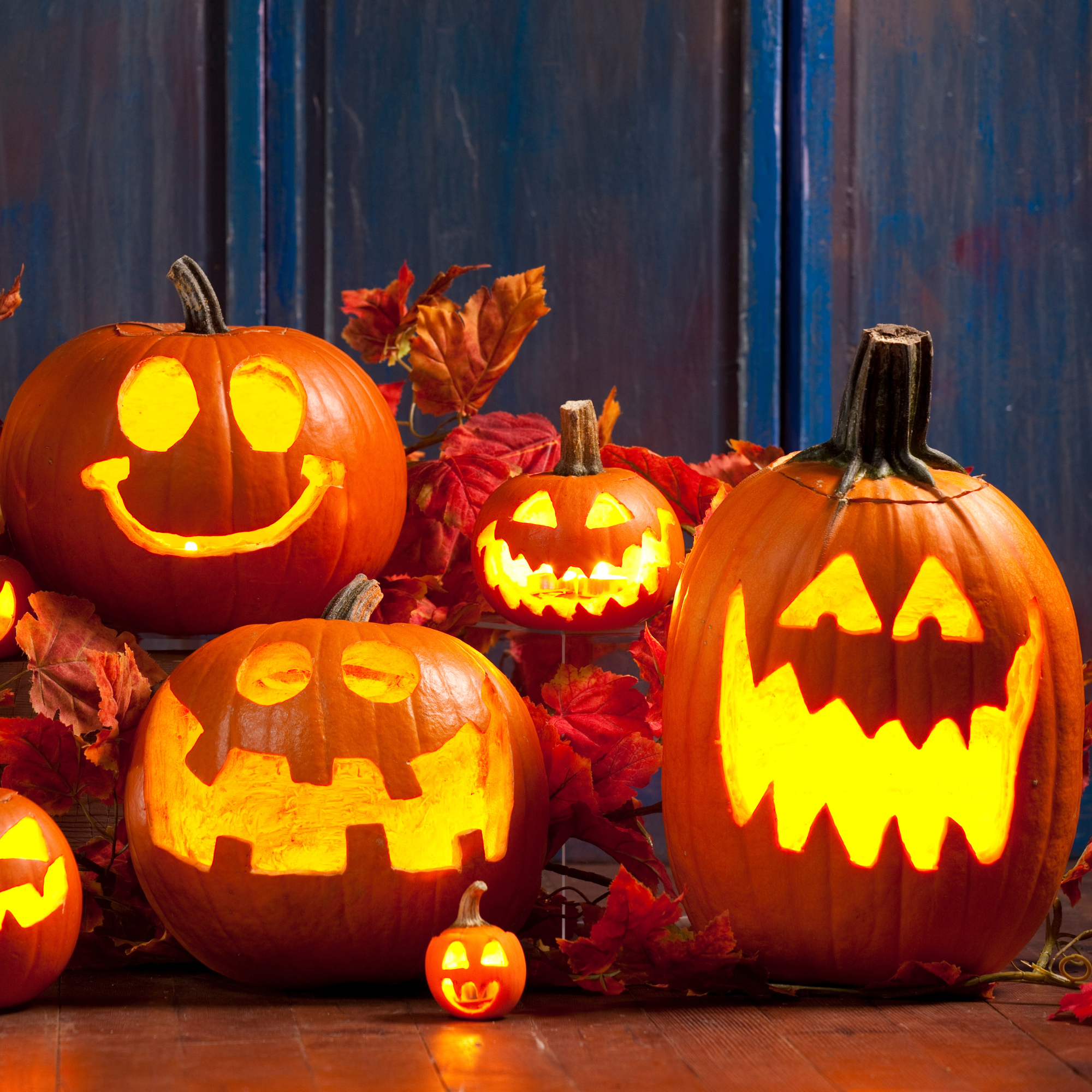 A group of Jack-o-lanterns lit up for the holiday.