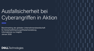 Einblicke in die Cyber-Resilienz &ndash; Weltweit